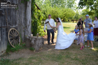 Svatba na farmě