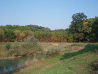 Barevné lokální biocentrum