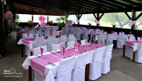 	Svatební tabule v bílé a růžové barvě s potahy