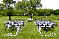 Připravený svatební obřad pod meruňkami