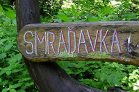 Smraďavka