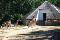 Zoologická zahrada Zlín Lešná