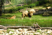 Zoologická zahrada Zlín Lešná