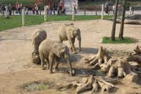 Zoologická zahrada Zlín Lešná